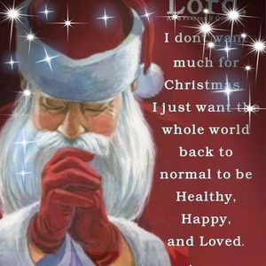 Meet your Posher, Lulu